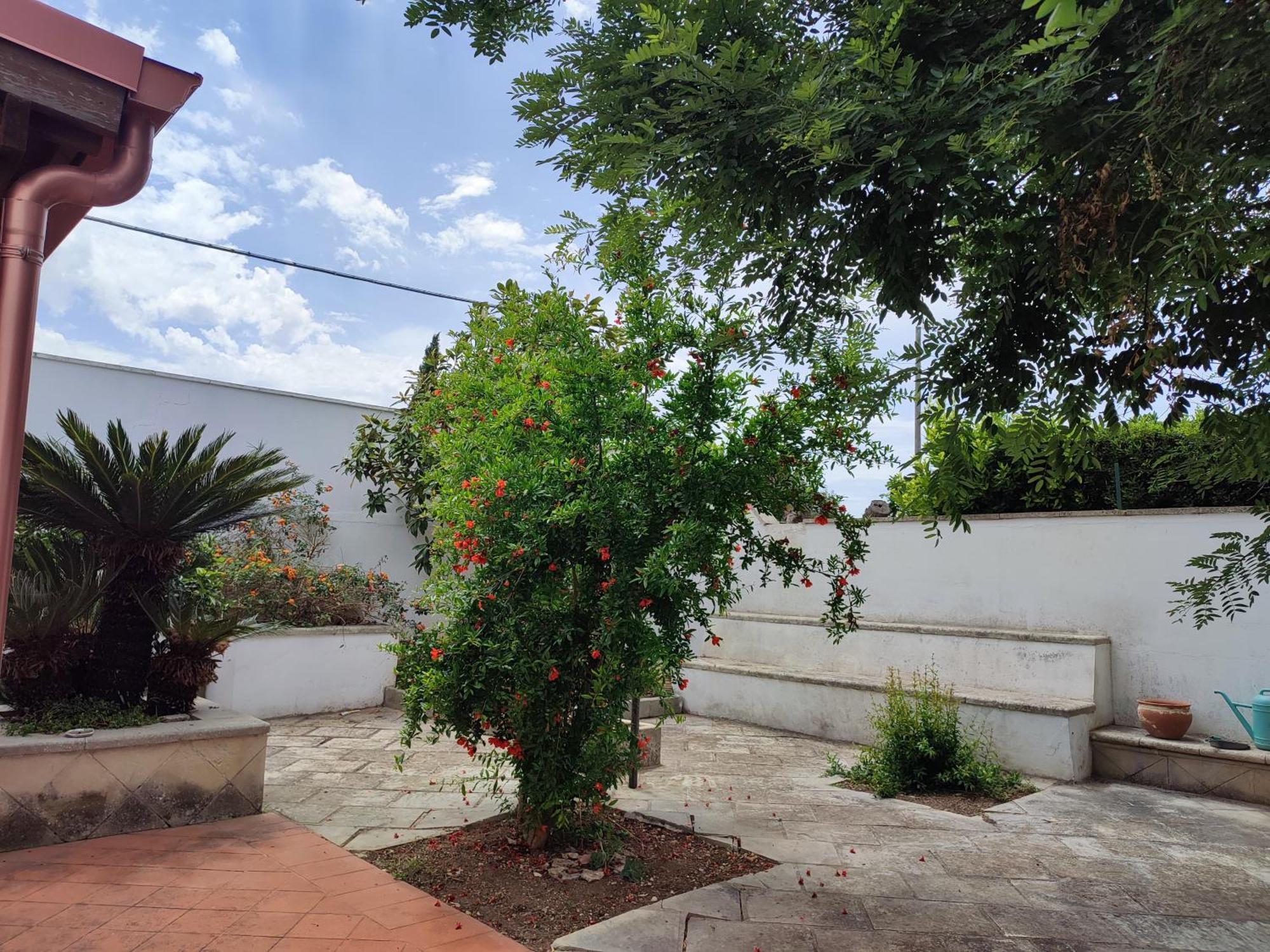 Appartamento Mamasita Cutrofiano Esterno foto